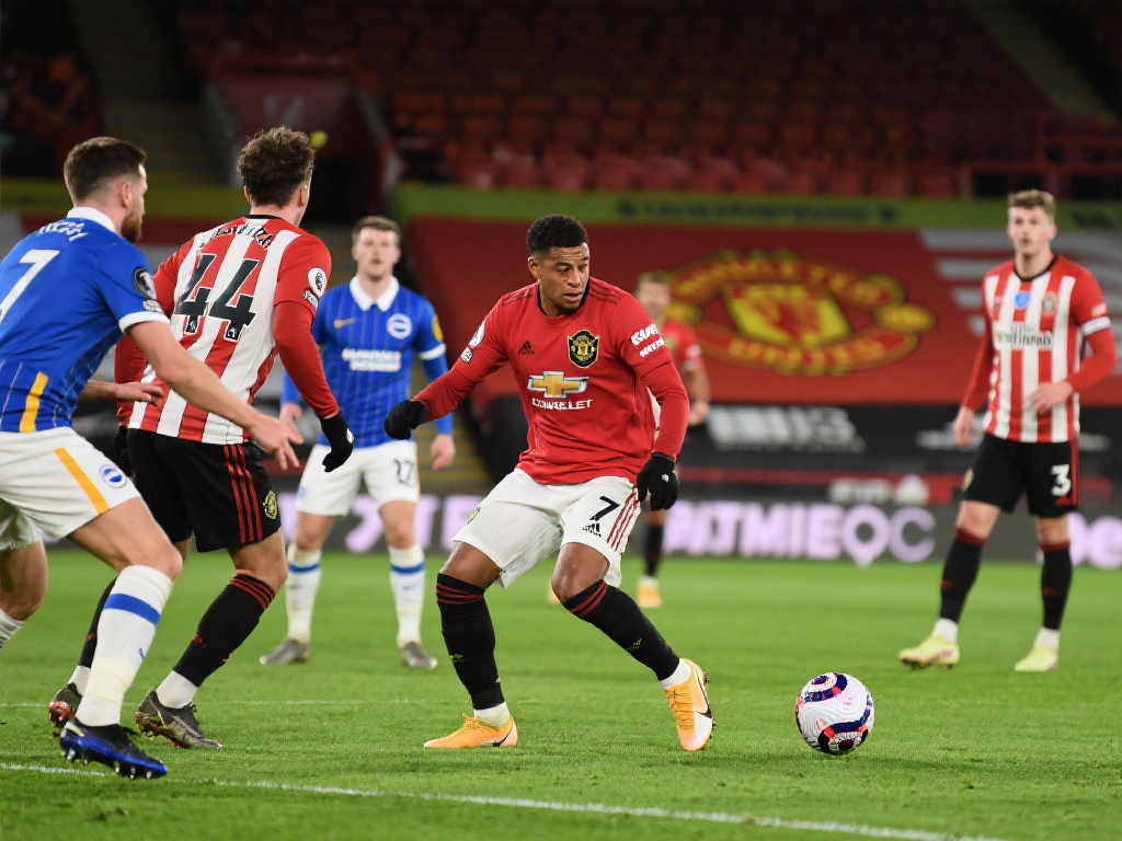 姚明是一个 姚明是一个